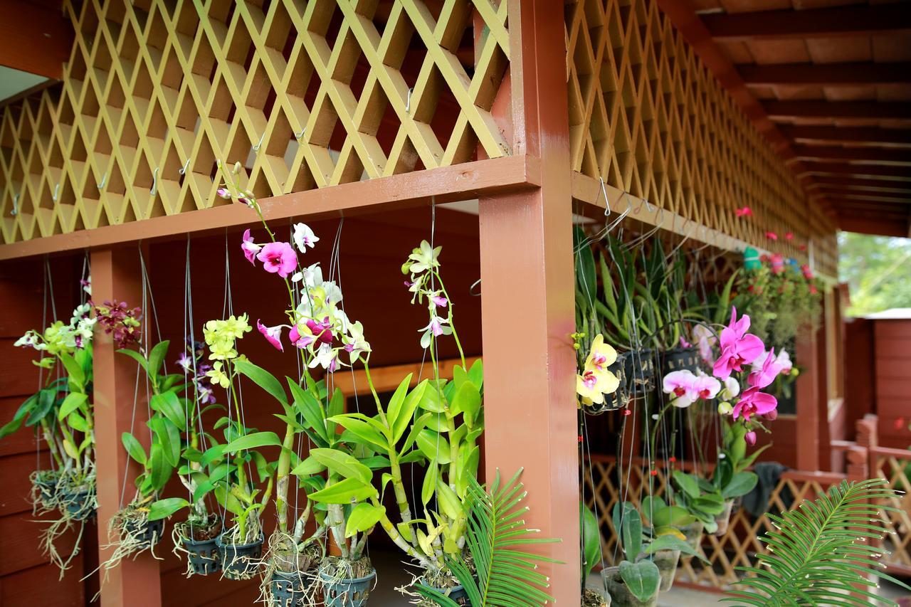 Essence Motel กาลอว์ ภายนอก รูปภาพ
