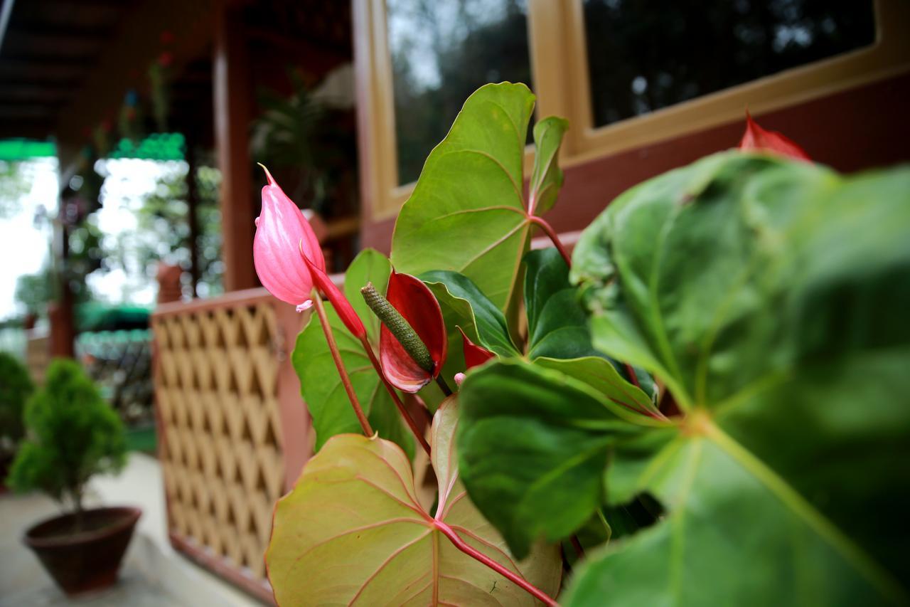 Essence Motel กาลอว์ ภายนอก รูปภาพ